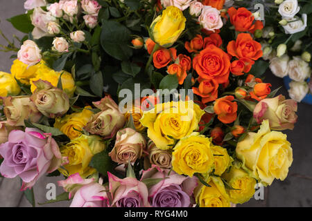 Close up di grappoli di multi-colore rosa per la vendita su un mercato locale in Inghilterra Foto Stock