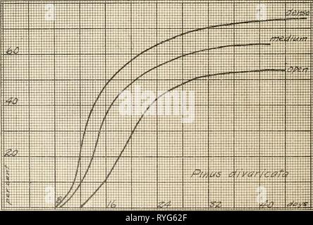 Indagini ecologiche dopo la germinazione e la rapida crescita di alberi forestali ecologicalinvest00boeruoft Anno: 1916 Fig. I. La germinazione curve di Pimis rcsiiiosa. Fig. 2. Le curve di germinazione dei finlandesi divaricata. Foto Stock