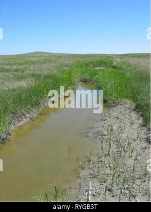 Indagini acquatici e valutazione della Slim Buttes regione di Harding e la Butte Co., SD E7B0A490-9C23-4F66-8B12-C76B17101B65 Anno: 2006 Sperone Creek (affluente del sud Forcella Moreau) Foto Stock