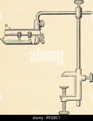 Chimici elementari elementarychemi microscopia00cham Anno: 1921 ILLUMINAZIONE DI OGGETTI; i dispositivi di illuminazione 35 del filamento di tungsteno; la fonte di luce quindi occupa circa i due terzi di un cerchio. La lampada è mostrato in Fig. 12, dimensione naturale. Con basse potenze e l'illuminatore pertanto ad una certa distanza sopra l'oggetto, quasi raggi assiale sono proiettate Foto Stock