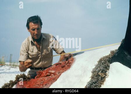 ROY SCHEIDER, ganasce 2, 1978 Foto Stock