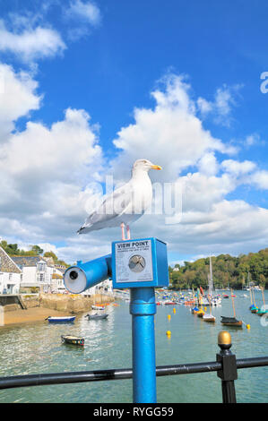 Seagull (gabbiano di aringa) arroccato su un telescopio View Point tradizionale a gettoni, Town Quay, Fowey, Cornwall, Inghilterra, Regno Unito Foto Stock