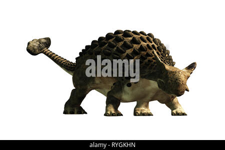 Ankylosaurus, uno dei più famosi dinosauri, era un Cretaceo era ornithischian erbivoro. Qui, le corazzate dino è mostrato su uno sfondo bianco Foto Stock