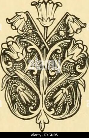 La terra e i suoi abitanti .. earthitsinhabita00recl Anno: 1890 iv contenuto. Il CHAP. PAOK YI. Nuovo G-uinea e isole adiacenti (Papuasia) ....... 293-317 progressi di scoperta, p. 293. Caratteristiche fisiche, p. 297. I fiumi e le isole, p. 300. Clima, Flora, Fauna, p. 301. Abitanti, p. 303. Topografia, p. 306. British Nuova Guinea, p. 311. Possedimenti tedeschi in Nuova Guinea, p. 315. VII. La Melanesia 318-351 Admiralty isole Arcipelago Bismarck, Isole Salomone, p. 318. Caratteristiche fisiche, p. 319. Clima, Flora, Fauna, p. 323. Abitanti, p. 324. Santa Cruz e le Nuove Ebridi, p. 330. Inhabi Foto Stock