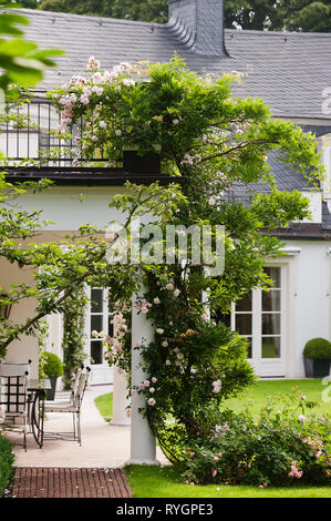 I fiori crescono colonna dal patio Foto Stock