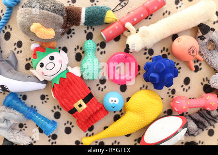 Vari giocattoli cane steso su una zampa di cane modellato coperta. In plastica colorata, in gomma morbida e cani giocattoli. Sovraccarico laici piana Shot. Foto Stock