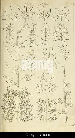 [Dr Hope's elementa botanici] ([178]) Foto Stock