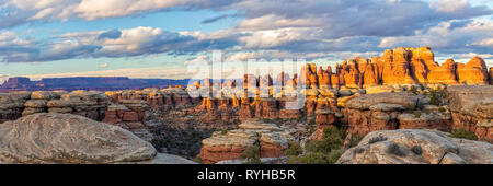 Moody nuvole colorate sopra il golden accesa di aghi nel Canyon di elefante nel distretto di aghi del Parco Nazionale di Canyonlands. Foto Stock