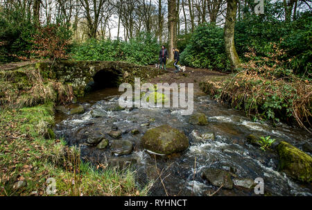 Bolton, Lancashire, Regno Unito. Xiv Mar, 2019. Un mix di sole e di docce in un giorno blustery in Smithills Country Park, Bolton, Lancashire. Le condizioni atmosferiche variabili è impostata per continuare fino a quando il weekend in Inghilterra del Nord Ovest. Dog walkers sul forest nature trail. Foto di Paolo heres, giovedì 14 marzo, 2019 Credit: Paolo Heyes/Alamy Live News Foto Stock