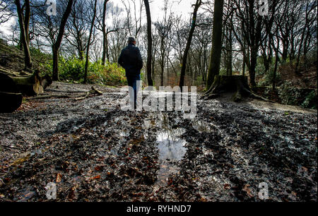 Bolton, Lancashire, Regno Unito. Xiv Mar, 2019. Un mix di sole e di docce in un giorno blustery in Smithills Country Park, Bolton, Lancashire. Le condizioni atmosferiche variabili è impostata per continuare fino a quando il weekend in Inghilterra del Nord Ovest. Un viandante trudges attraverso le pozzanghere fangose sulla foresta sentiero natura. Foto di Paolo heres, giovedì 14 marzo, 2019 Credit: Paolo Heyes/Alamy Live News Foto Stock