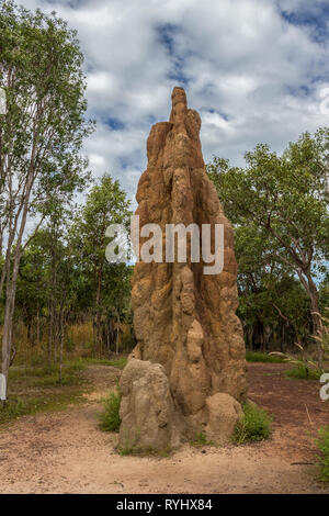 Termite Mound nel Parco Nazionale di Litchfield, Territorio del Nord Foto Stock