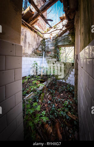 Perso il posto abbandonato bagno con vasca da bagno piena di piastrelle e piante in vecchi hotel nel resort per vacanze Sistiana vicino a Trieste in Italia Foto Stock