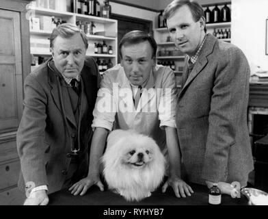 ROBERT HARDY, Christopher Timoteo, PETER DAVISON, tutte le creature grandi e piccole, 1978 Foto Stock