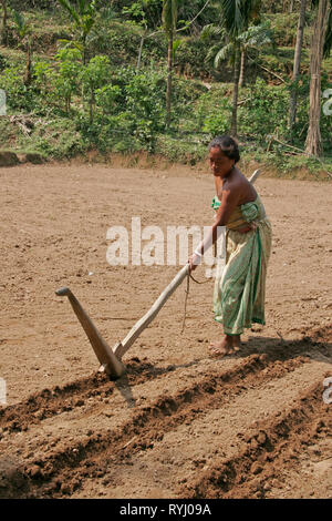 BANGLADESH agricoltore di Koch minoranze tribali preparare un campo per la piantagione manioca, Nalitabari, Mymensingh regione foto di Sean Sprague Foto Stock