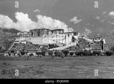 Geografia / viaggi, Tibet, Lasha, castelli, palazzo del Potala, vista esterna, del 1950 circa, Additional-Rights-Clearance-Info-Not-Available Foto Stock