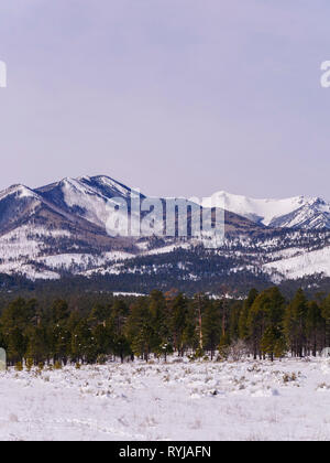 Il San Francisco Peaks, che sono i resti di un crollato stratovulcano, come osservata dal Cratere Sunset monumento nazionale, Arizona. Foto Stock