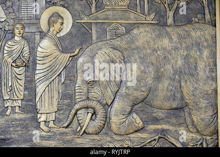 Tinh Xa Chau Ngoc tempio buddista. La vita del Buddha, Siddharta Gautama. Addomesticare un elefante con amorevole gentilezza - Nalagiri era il Royal Elepha Foto Stock