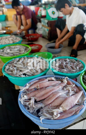 Mercato del pesce. Calamari e gamberetti per la vendita. Ha Tien. Il Vietnam. Foto Stock