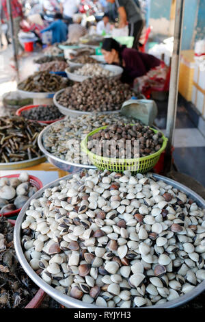 Mercato del pesce. Di vongole fresche in vendita. Ha Tien. Il Vietnam. Foto Stock