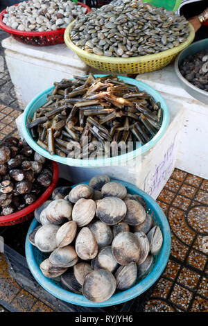 Mercato del pesce. Di vongole fresche in vendita. Ha Tien. Il Vietnam. Foto Stock