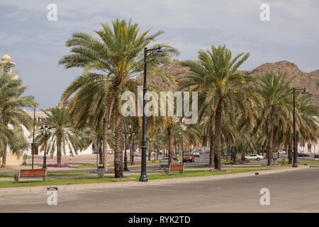 Boulevard con le automobili e le palme vicino al Museo Nazionale in Muscat Oman Foto Stock