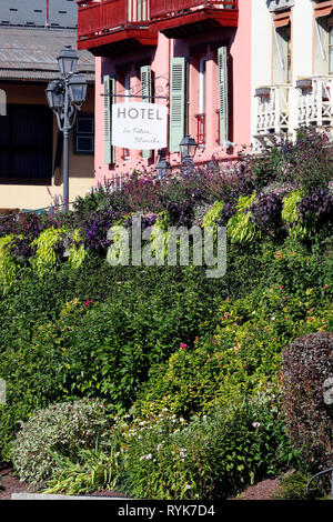 Fiori colorati nel villaggio di Saint Gervais les Bains nelle Alpi francesi. La Francia. Foto Stock