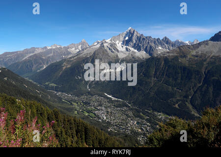 Valle di Chamonix, sulle alpi francesi. Valle di Chamonix, sulle alpi francesi. L'Aiguille Verte visto da Planpraz. La Francia. Foto Stock