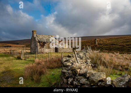 Abbandonato capanna di pastore, Ingleton, North Yorkshire. Foto Stock