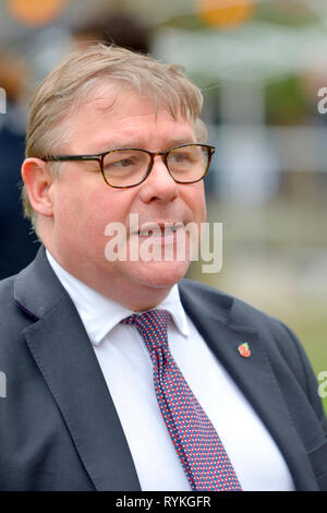 Mark Francois MP (Cost: Rayleigh e Wickford) su College Green, Westminster, 13 marzo 2019 Foto Stock