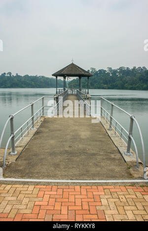 MacRitchie serbatoio durante la nebulosità del 2015, Thomson, Singapore Foto Stock