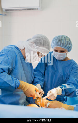 Chirurghi in sala operatoria Foto Stock