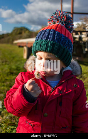 Piccolo ragazzo che indossa un cappotto rosso e bobble hat soffiando su un dente di leone Foto Stock