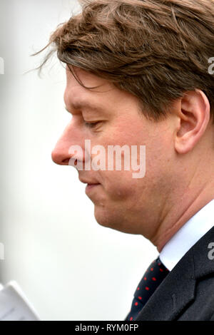 Robin Walker MP (Cost: Worcester) Sottosegretario di Stato parlamentare per la chiusura dell'Unione europea, sul College Green, Westminster, 13 marzo 2019 Foto Stock