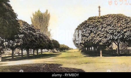 Avenues negli Stati Uniti, Hanford, California, 1905, ombrello Avenue Hanford Foto Stock