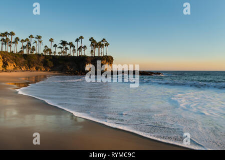 Shore con palme, rocce, cielo blu e oceano nel tempo al tramonto. Luce solare morbida caduta sulla spiaggia. Splendido paesaggio in Laguna Beach, California, Stati Uniti d'America. Foto Stock