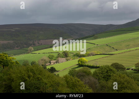 Agriturismo sulle colline vicino Hayfield nel Peak District. Kinder Scout in background. Foto Stock