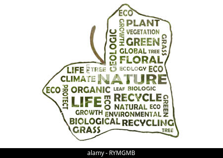 Cloud di parola ecologia sotto forma di una foglia di edera Foto Stock