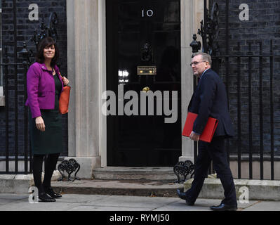 Il Ministro per l'energia e pulire la crescita Claire Perry e Scottish Secretary David Mundell, arrivare ad un incontro a 10 Downing Street, Londra. Foto Stock