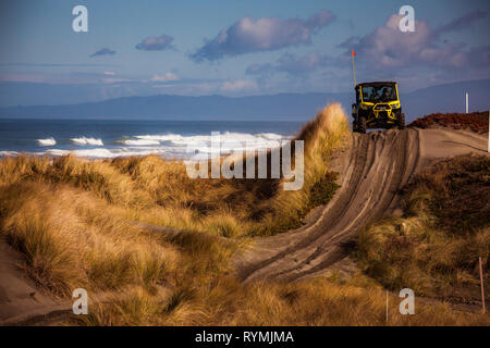 Un veicolo di offload aziona i sentieri sabbiosi delle dune di Samoa Area Ricreativa di Samoa, California. Il parco è un 300 acri, Sandy off-highway veicolo area di gioco sulla penisola di Samoa sulla baia di Humboldt. Attività ricreative, tra cui escursioni, surf, pesca, gite turistiche, beachcombing, off-highway l'utilizzo del veicolo, fare picnic e birdwatching. Foto Stock