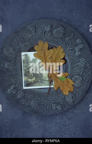 Brown foglie autunnali di inglese di quercia o Quercus robur tree giacente in peltro ornamentali piastra con foto in bianco e nero degli anni quaranta l uomo nel giardino Foto Stock