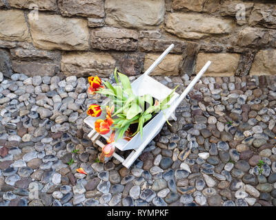 Viaggiare in Italia - bouquet di tulipani in piccola carriola sulla strada di ciottoli in Città Alta (città alta) della città di Bergamo, Lombardia Foto Stock