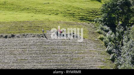 Gli agricoltori di tagliare il prato in Alpi, Alto Adige, Italia Foto Stock