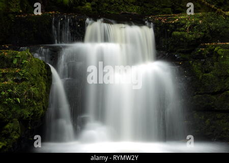 Cascata a McLean cade, il Catlins, Nuova Zelanda Foto Stock