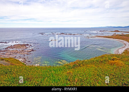 La guarnizione Cove vicino a Kaikoura Nuova Zelanda Foto Stock