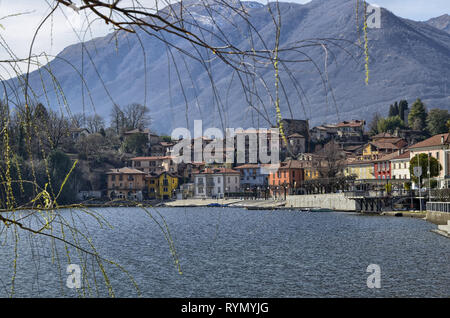 Mergozzo, Piemonte, Italia. Marzo 2019. Piacevole vista panoramica della città che si affaccia sul lago. Le fronde di un albero telaio l'immagine Foto Stock