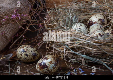 La pasqua ancora in vita. Uova di quaglia nel nido e sul vecchio tavolo in legno nel granaio tra il fieno e fiori secchi. Foto Stock