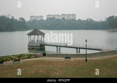 MacRitchie serbatoio, Thomson, Singapore Foto Stock