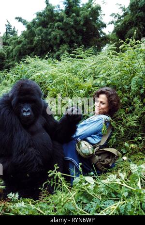 WEAVER,GORILLA Gorilla nella nebbia, 1988 Foto Stock