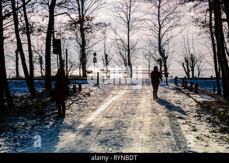 Penisola di Hel (Polonia) in inverno. Persone che camminano nella foresta. Foto Stock