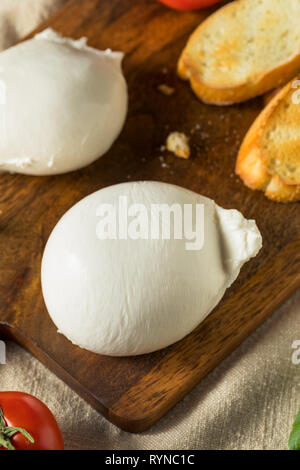 In casa italiana bianco Burrata Formaggio con pomodoro e basilico Foto Stock